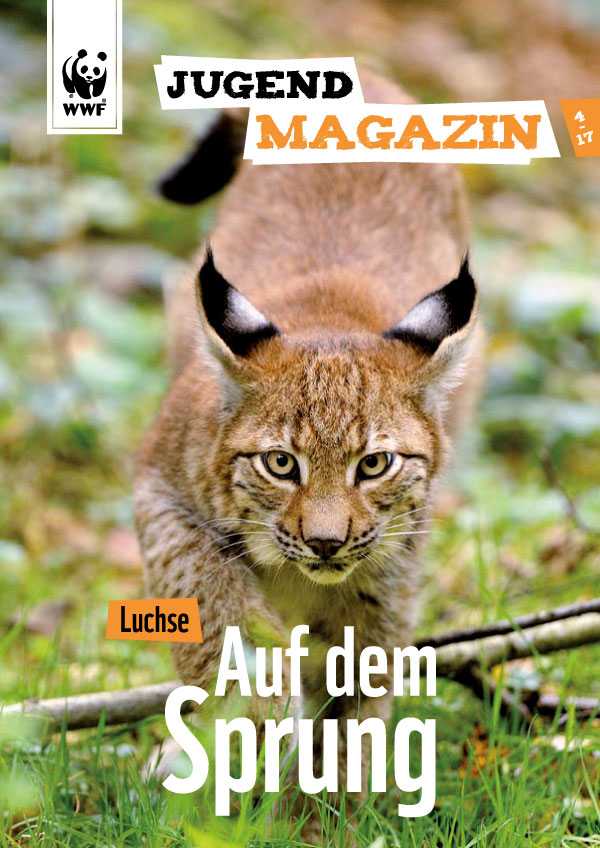 WWF Jugendmagazin 4.17 | Titelseite
