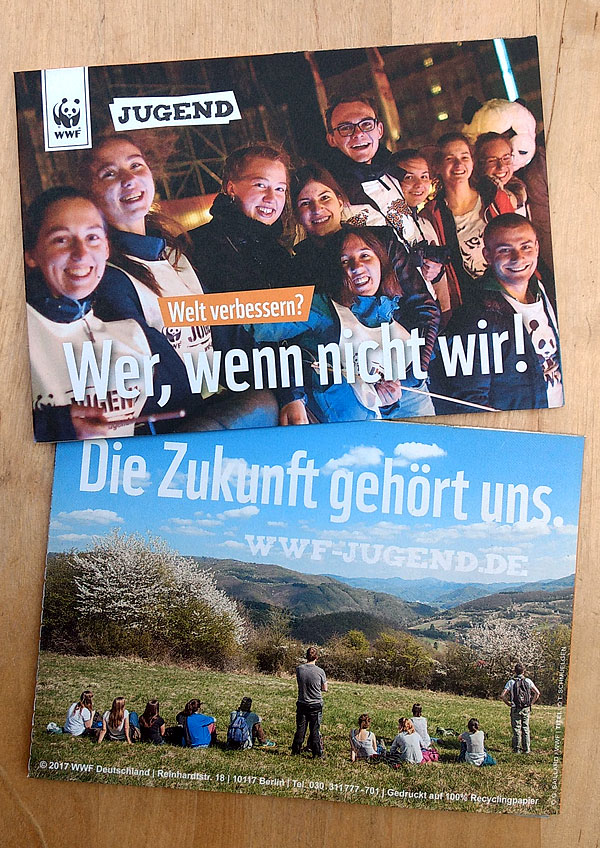 WWF Jugend | Akquise-Flyer 2017/18 | Vorder- u. Rückseite