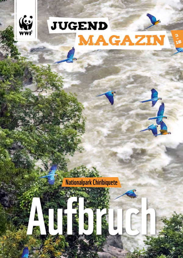 WWF Jugendmagazin 3.18 | Titelseite